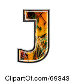 35 - 69343-Fiber-Symbol-Capital-J-Poster-Art-Print.jpg