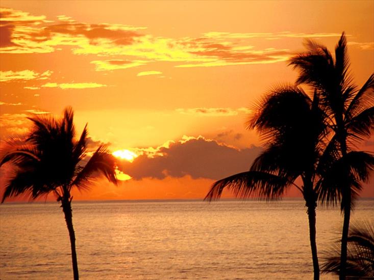 Tapety - Sunset in the Tropics, Maui.jpg