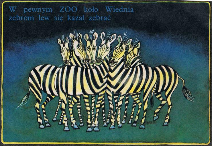Zebry na zebrach - zebry na zebrach2.jpg
