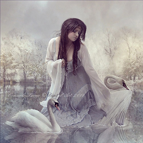 Kobieta fantazy - The Soul of the Swans.jpg