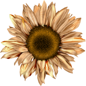 Ozdoby - kwiat 15.gif