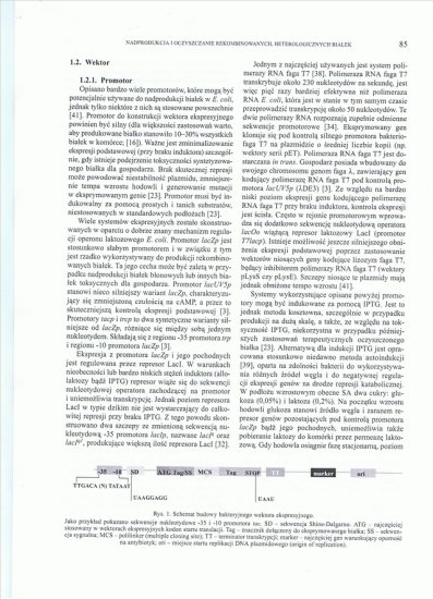 Biotechnologia - CCF20100601_00002.jpg