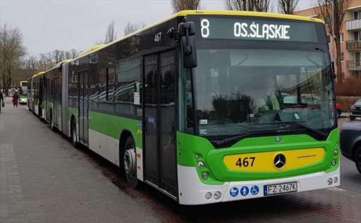 Autobusy miejskie - Zielona Góra.jpg