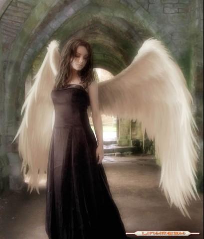 Kobieta anioł - aniol10.jpg