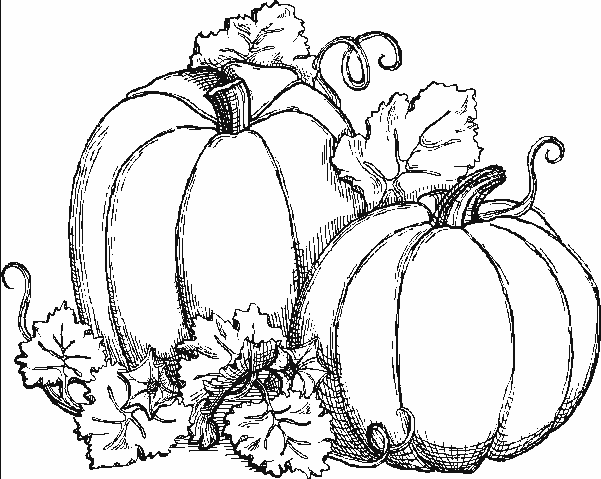 jesień - pumpkins.gif