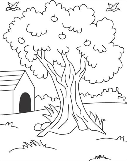 drzewa - tree-coloring-page1.jpg