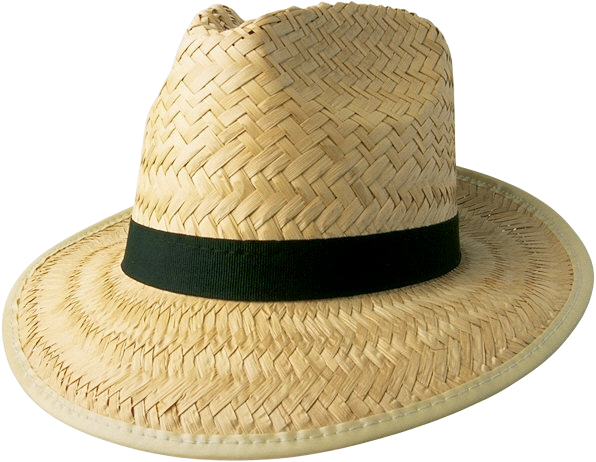 KAPELUSZE - Straw hats 48.png