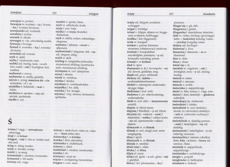 słownik - Słownik Polsko Norweski 101.jpg