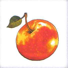 J - jabłko.jpg