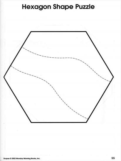 puzzle - 55 Hexagon Shape Puzzle.jpg