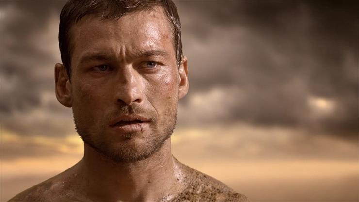 Andy Whitfield - snapshot20100918121957.png