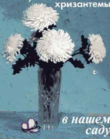 Szydełkowe kwiaty - portada-1.jpg