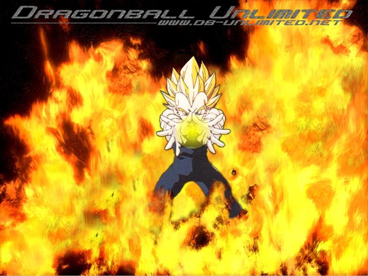 Dragon Ball - ssj_vegita_2.png