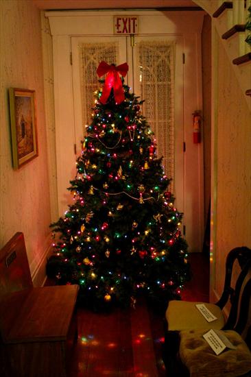 świąteczne choinki-gify - tumblr_mdstro9bg61ri86b6o1_500.jpg