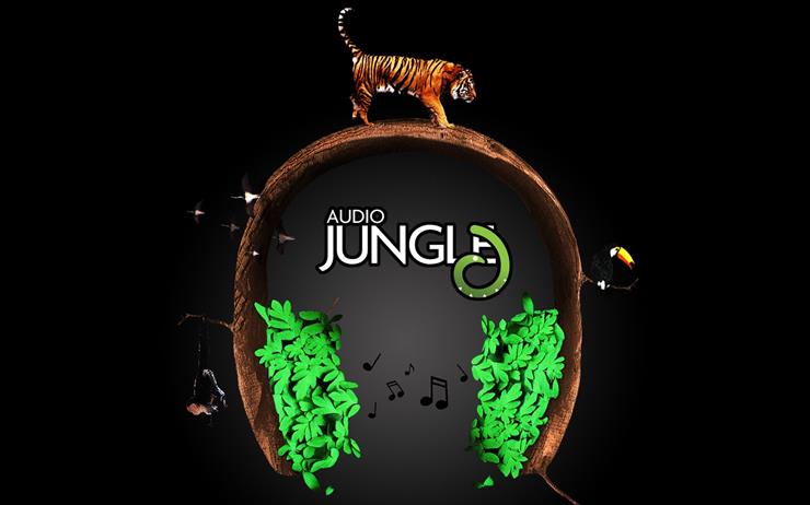 music - Audio_Jungle_Headphones 2.jpg