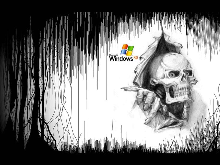 Tapety  XP - Windows_XP_033.jpg