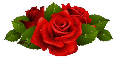 kwiatowe - rose-bruit.gif