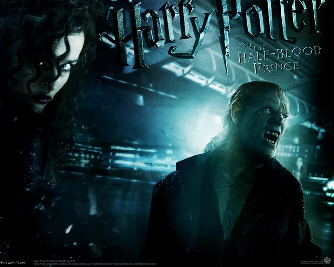Harry Potter zdjecia - 0Harry Potter.jpg