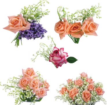 kwiaty bukiety png - roses_png_orig.jpg