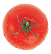  Gify pomidory - 9.jpg