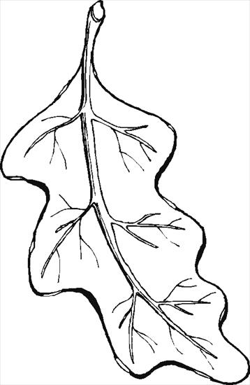 jesień - leaf1.gif