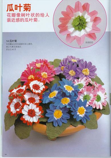 kwiaty 1 - 014.jpg