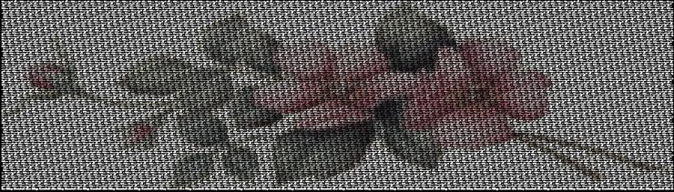ASCII  - Obraz z tekstu - ASCII Art Generator 2.jpg