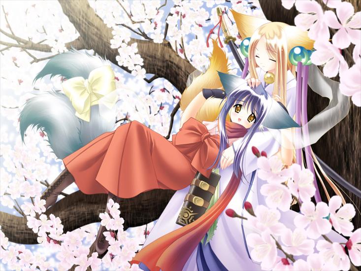Anime1 - Anime_Girls_on_a_tree_023353_.jpg