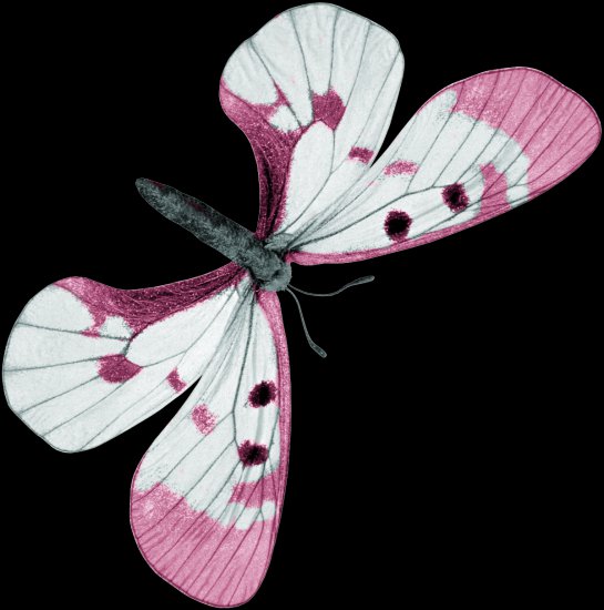 Fabulous Fifties - Sky_FF_Butterfly.png