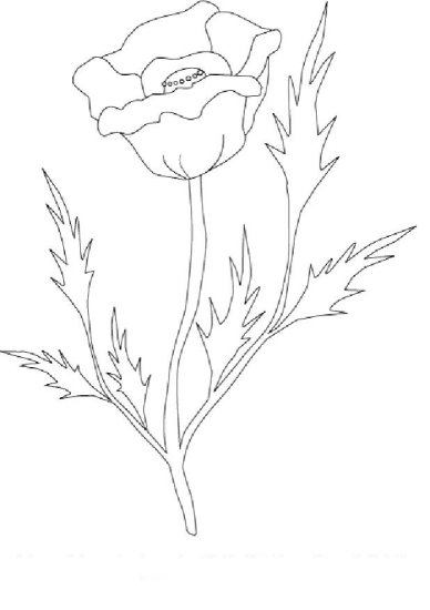 wiosna1 - kwiat 13.JPG