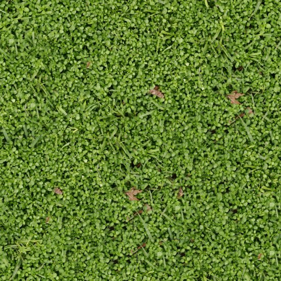 10-tileable-grass-patterns-bonuses-93428 - Grass-06-Color.jpg