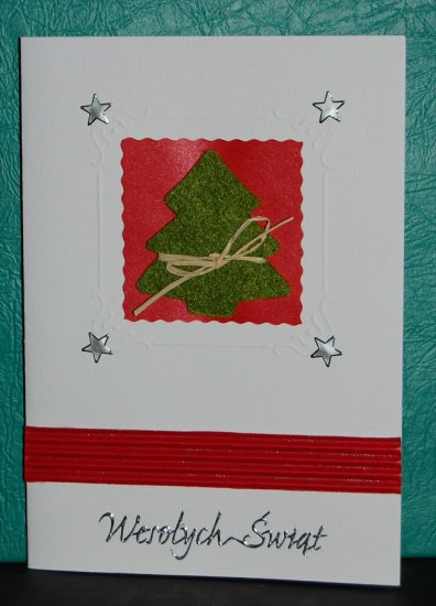 Kartki bożonarodzeniowe 2009 - DSC_0417.JPG