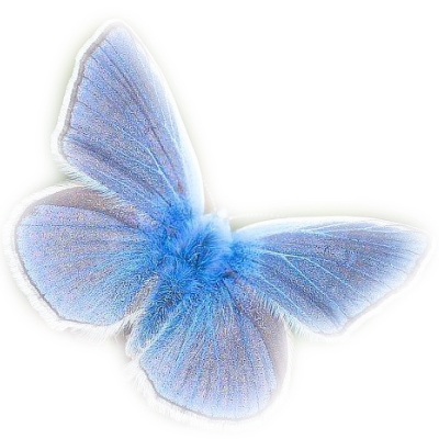 motyle,owady - papillon bleu.png