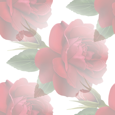 Tła kwiatowe - violin-red-rose-white.gif