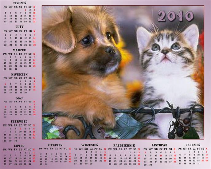 Kalendarze 2010 - 4 kalendarz 2010.jpg