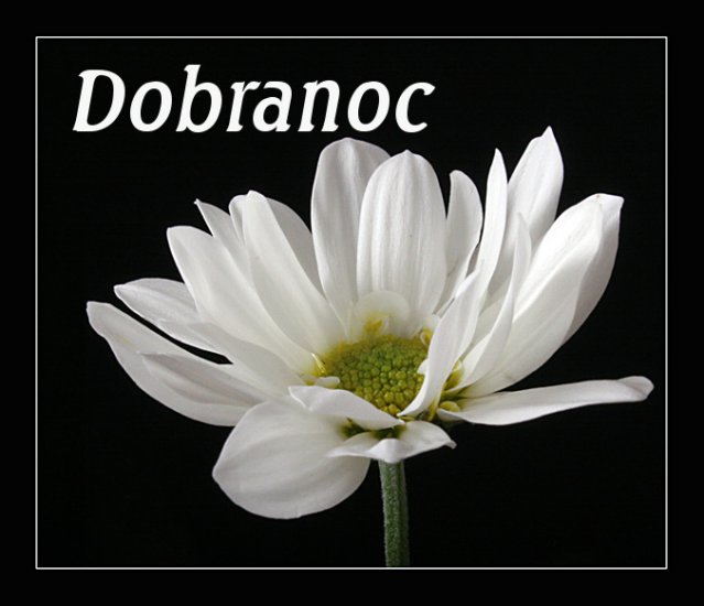 Na Dobranoc - dobranoc -2.jpg