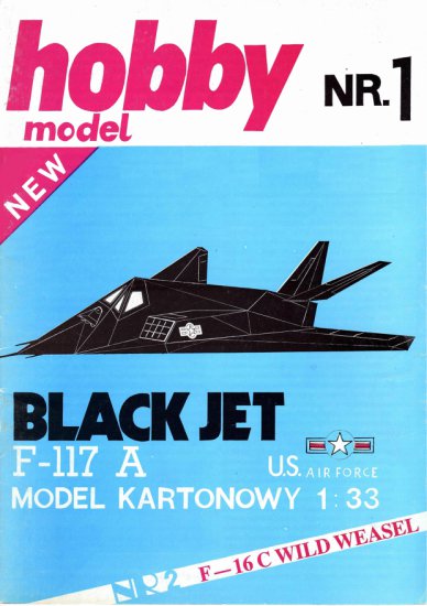 Hobby Model - Hobby Model 1 F-117A Black Jet.jpg
