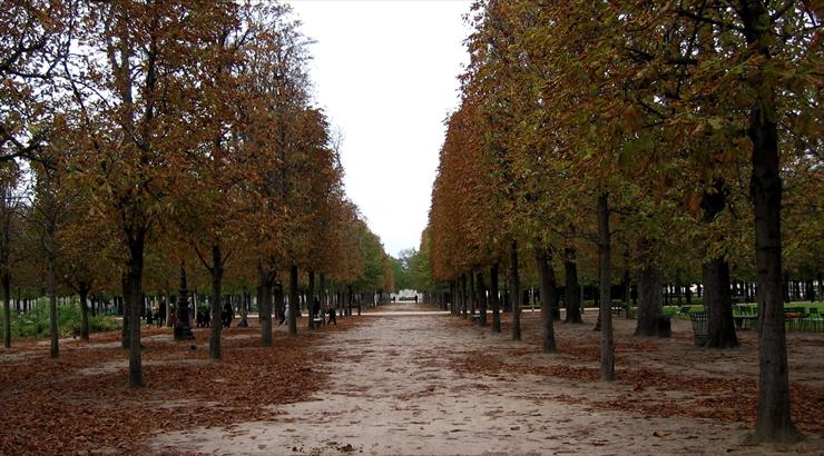 Francja-2 - tuileries.jpg