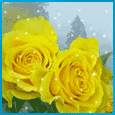 Róże żółte - Obraz 656.gif